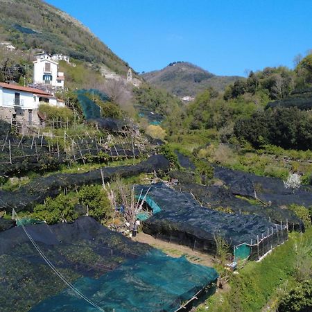 Apartamento Antica Cartiera Sant'Elia Tramonti Exterior foto
