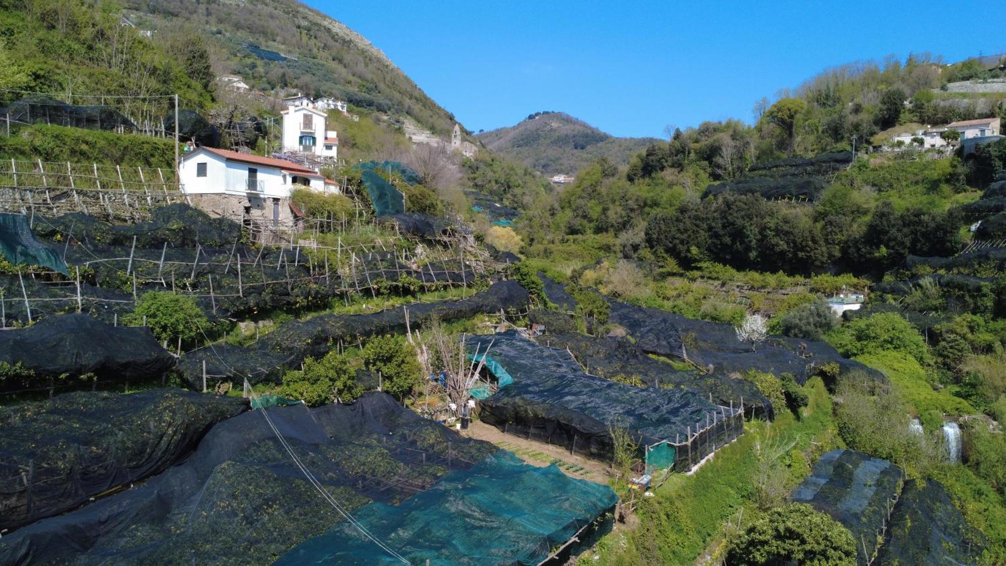 Apartamento Antica Cartiera Sant'Elia Tramonti Exterior foto