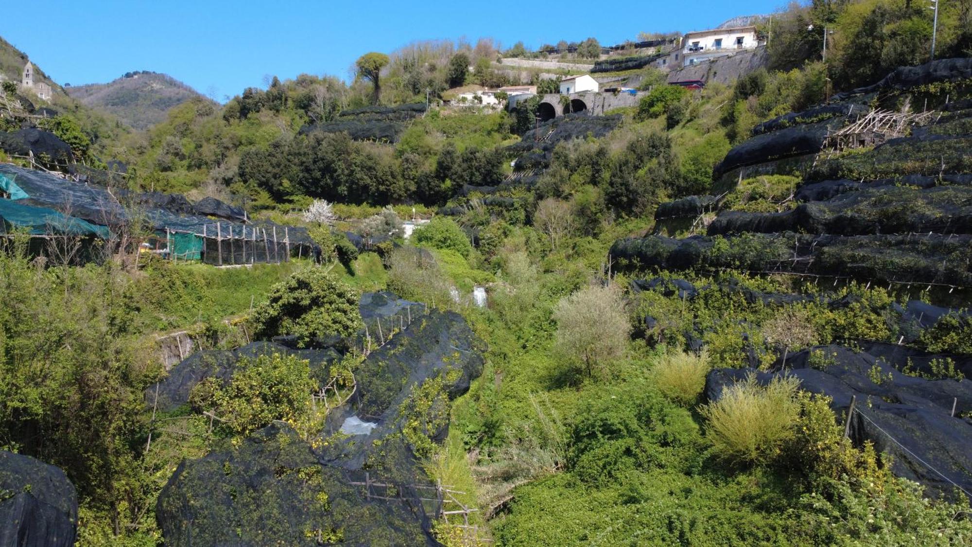 Apartamento Antica Cartiera Sant'Elia Tramonti Exterior foto