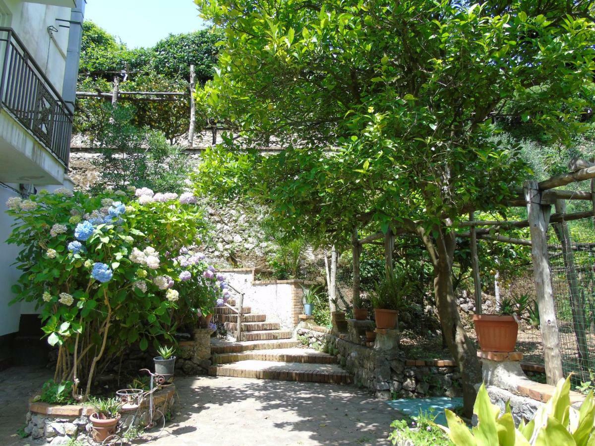 Apartamento Antica Cartiera Sant'Elia Tramonti Exterior foto