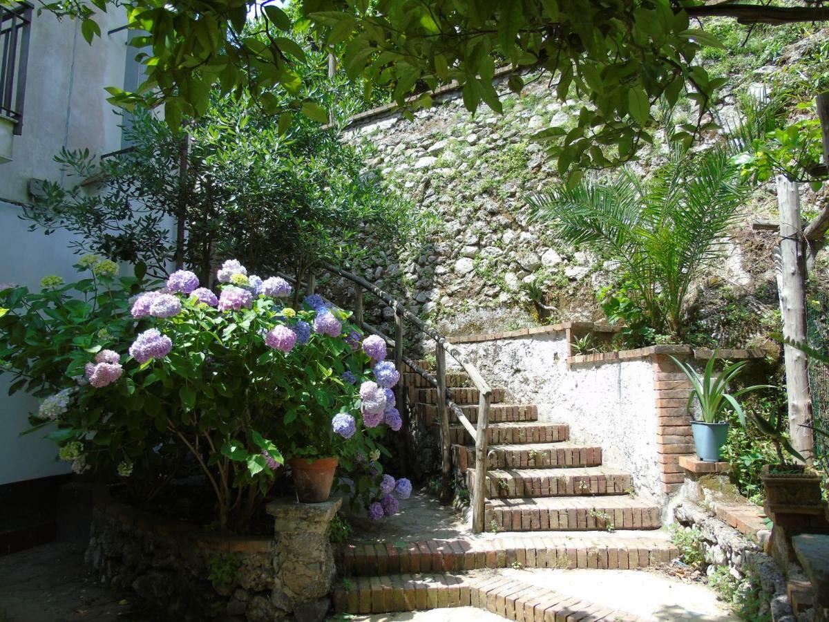 Apartamento Antica Cartiera Sant'Elia Tramonti Exterior foto