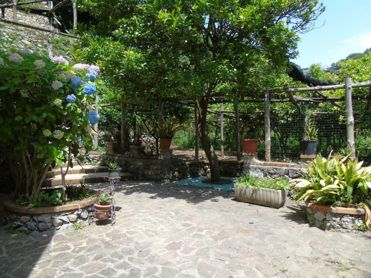 Apartamento Antica Cartiera Sant'Elia Tramonti Exterior foto